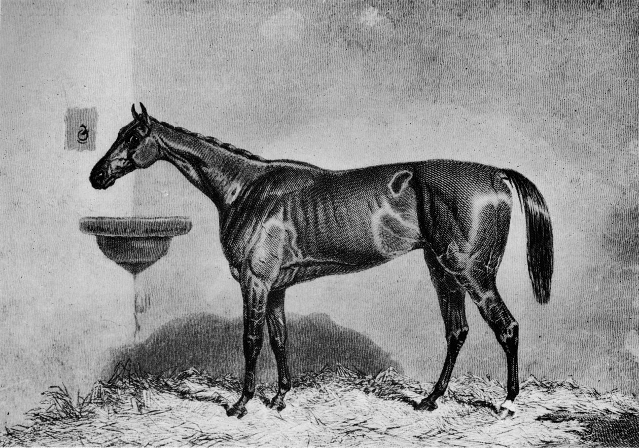 Başak, 1851-1869, 1911 by Unbekannt