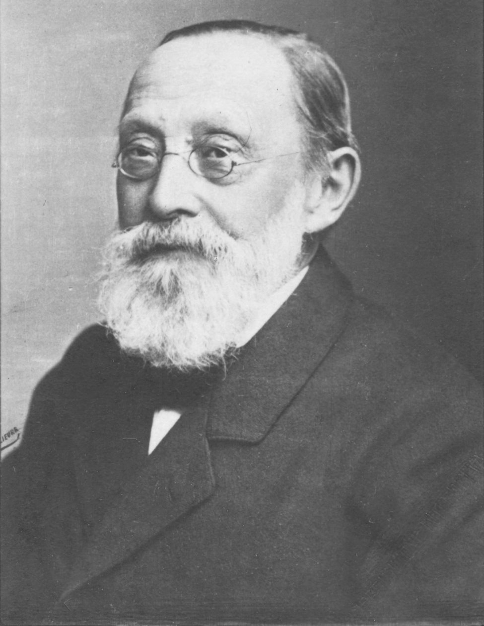 Virchow, c1893 by Unbekannt