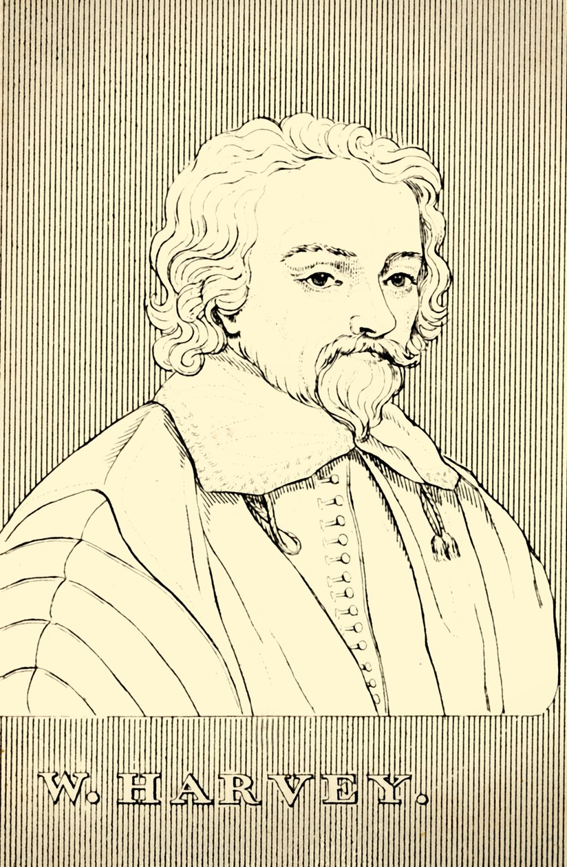 W. Harvey, 1578-1657, 1830. by Unbekannt