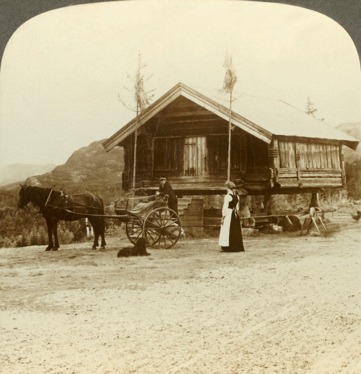 Bolkesjo, Norveç, c1905 yakınlarındaki yolda yolcuları bekliyorum. by Unbekannt