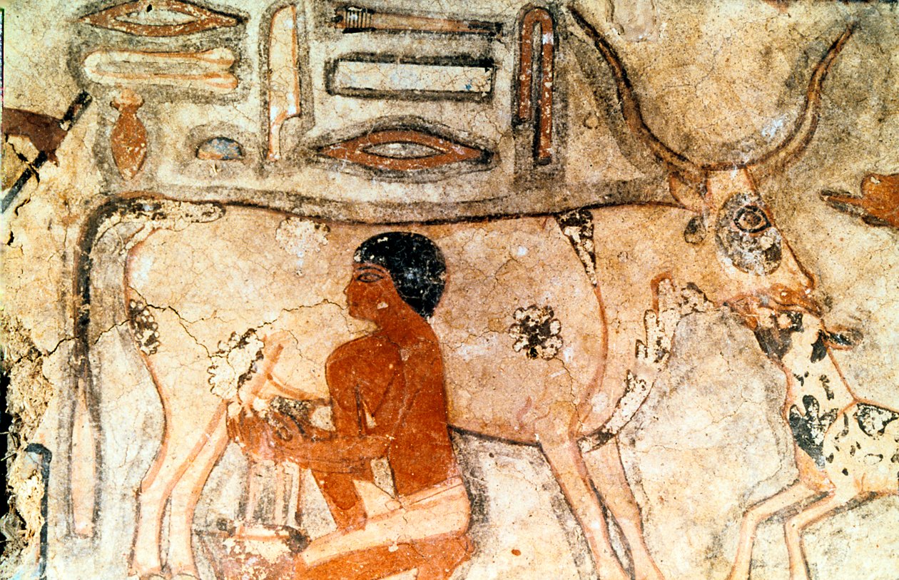 Methethi, Saqqara, Eski Mısır, Eski Krallık, MÖ c2371-2350 mezarından duvar resmi by Unbekannt