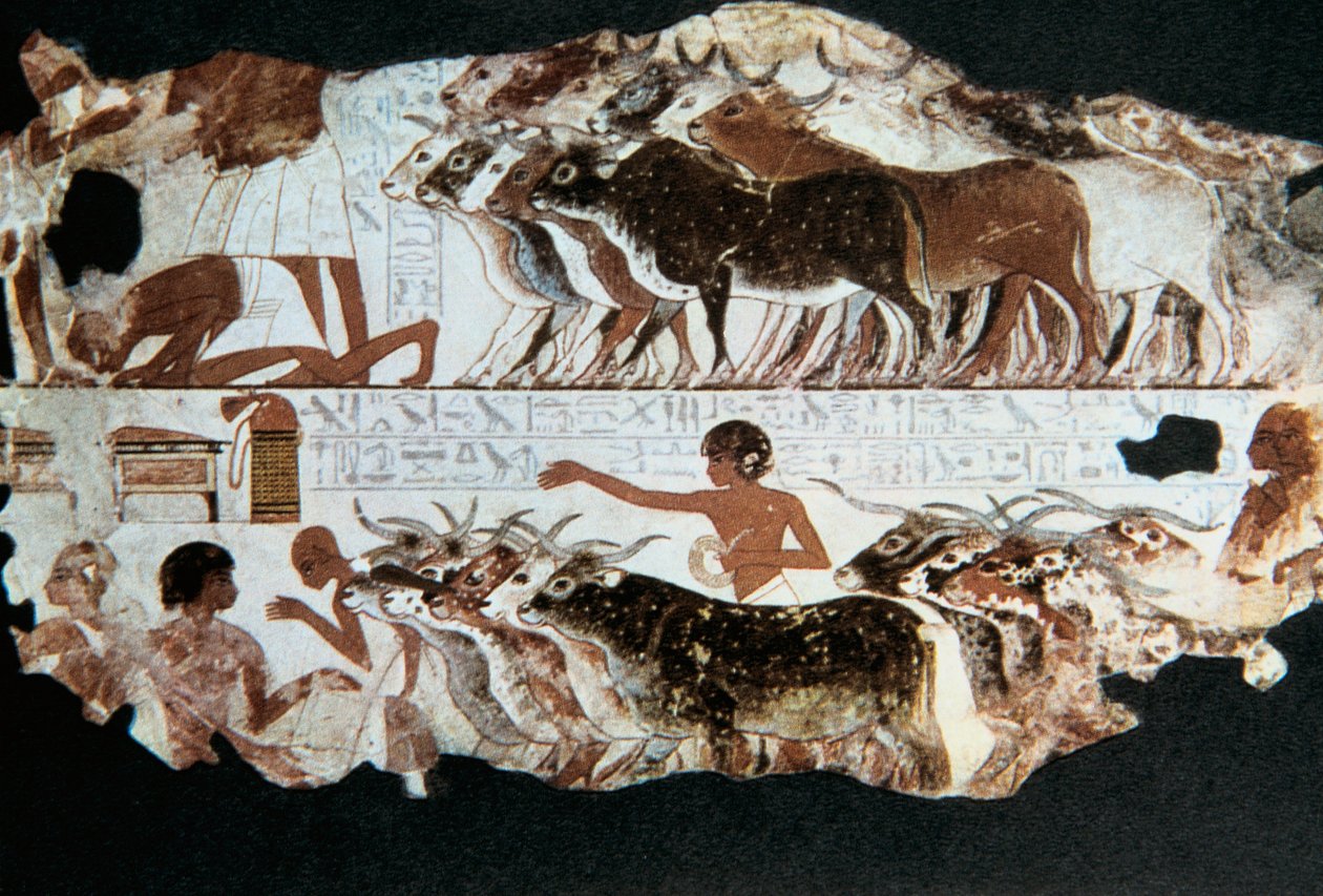 Nebarunun mezarından duvar resmi, Thebes, Mısır, MÖ 1350 by Unbekannt