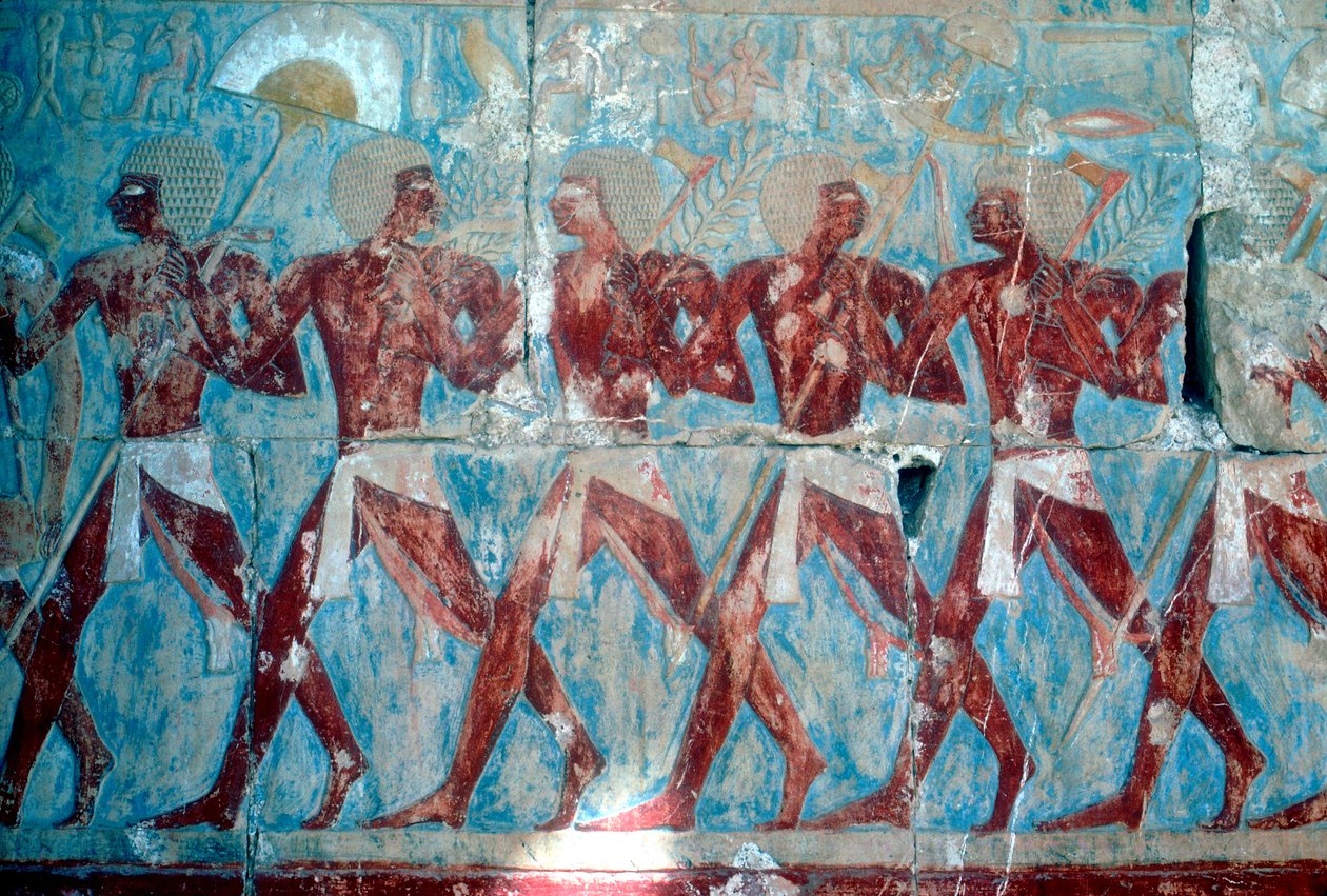 Duvar resmi: keşif gezisinden dönüş, Kraliçe Hatşepsut Tapınağı, Luksor, Mısır, MÖ c1470 by Unbekannt