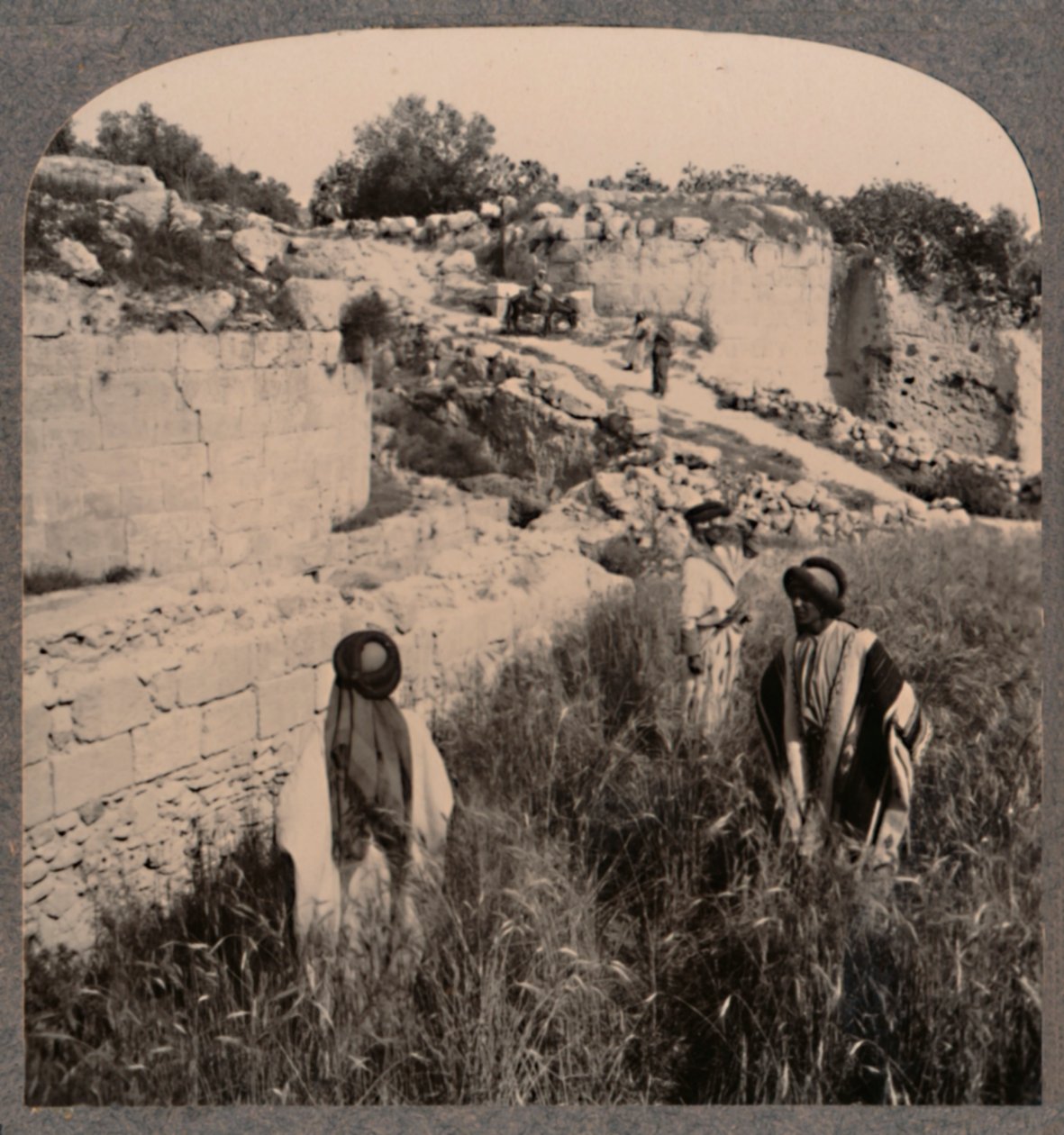 Augustus Surları, Samiriye, c1900 by Unbekannt