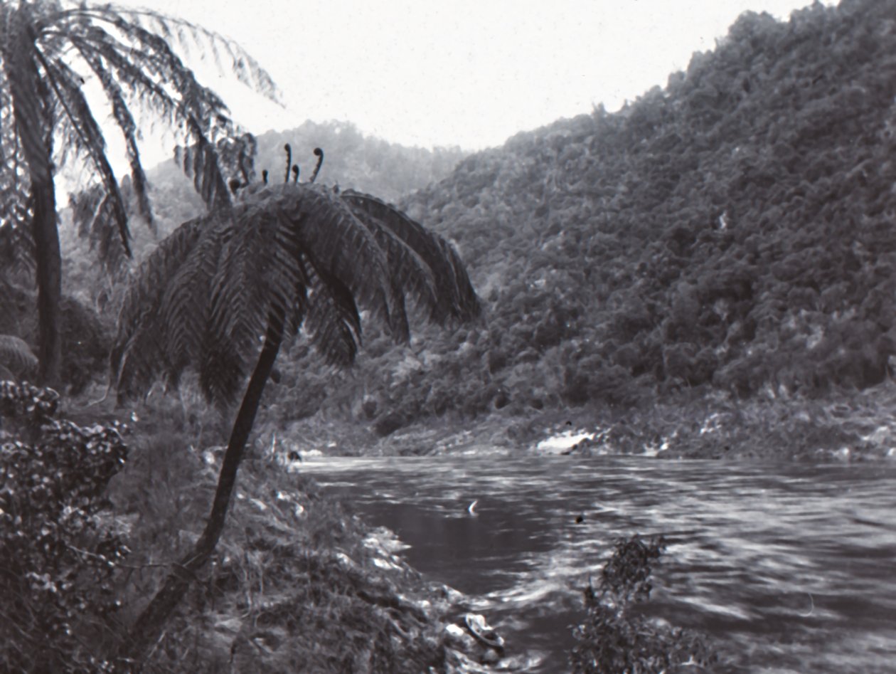 Wanganui Nehri, 19. yüzyılın sonlarında ve 20. yüzyılın başlarında. by Unbekannt