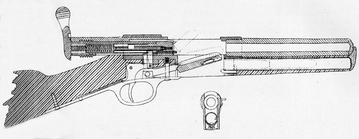Ward-Burton Dergisi No. 2, 1884 by Unbekannt