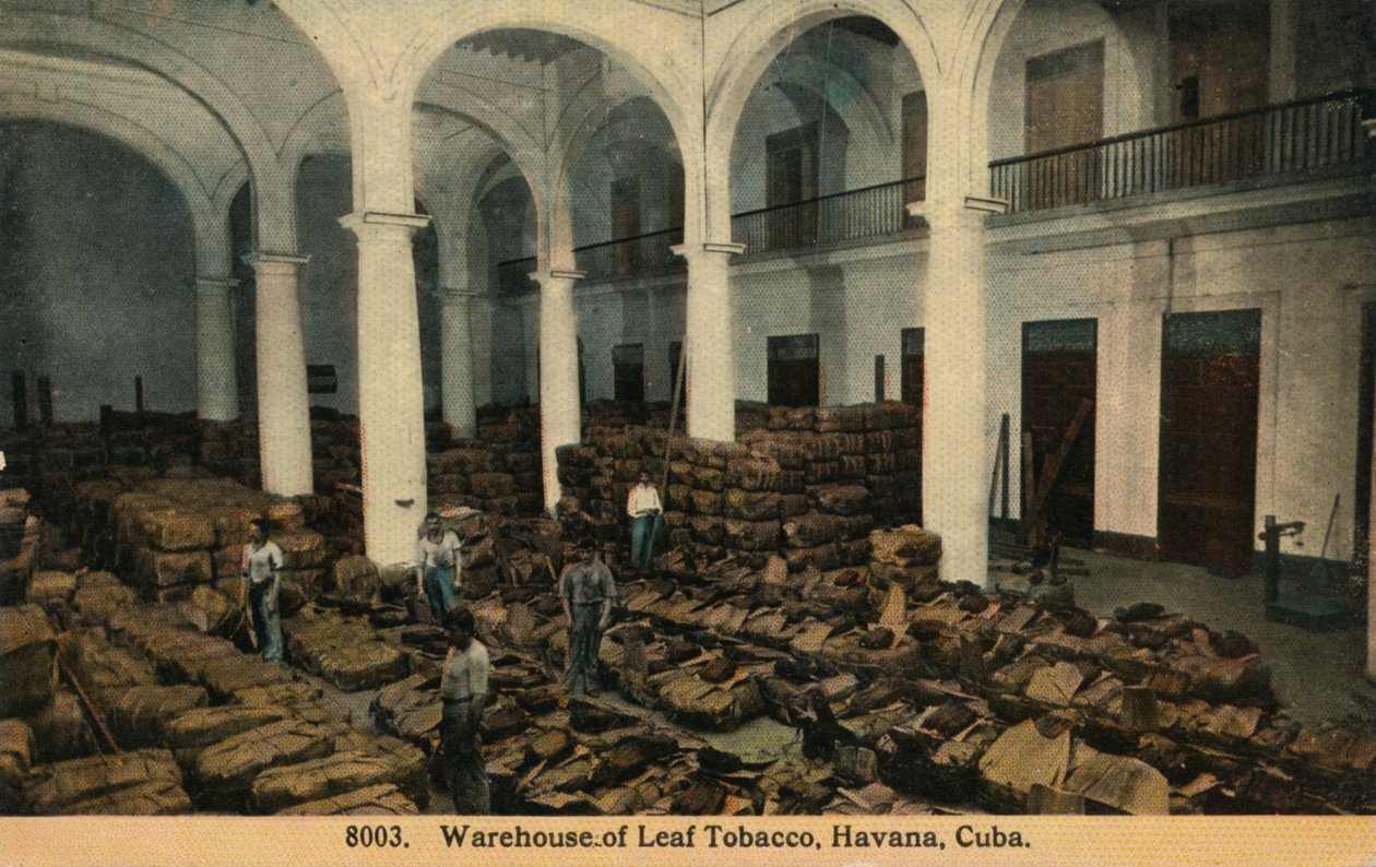 Yaprak Tütün Deposu, Havana, Küba, c1910 by Unbekannt