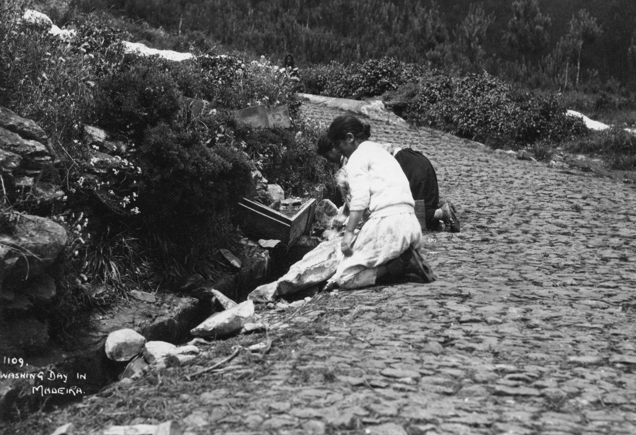 Madeira, Portekiz