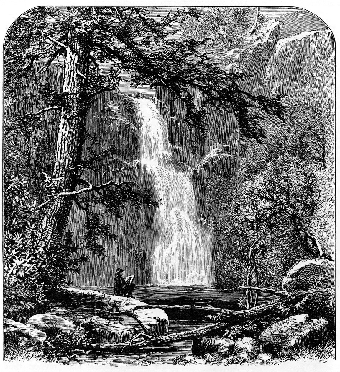 Yosemite Vadisi
