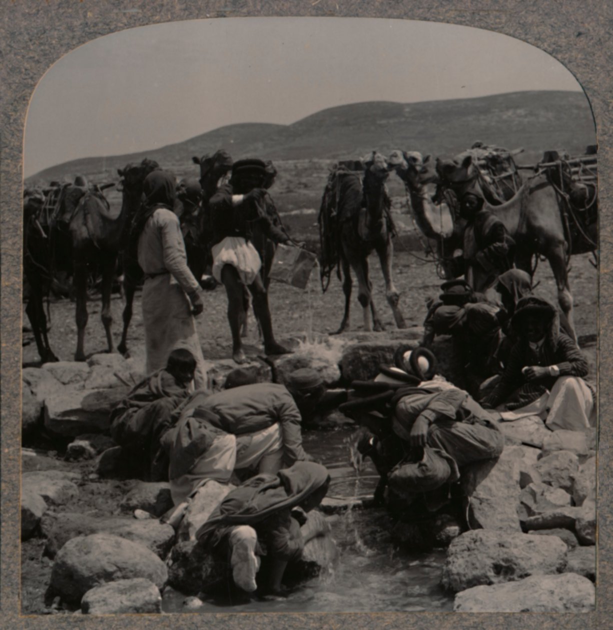 Jacobs Well, c1900 de deve sulama by Unbekannt