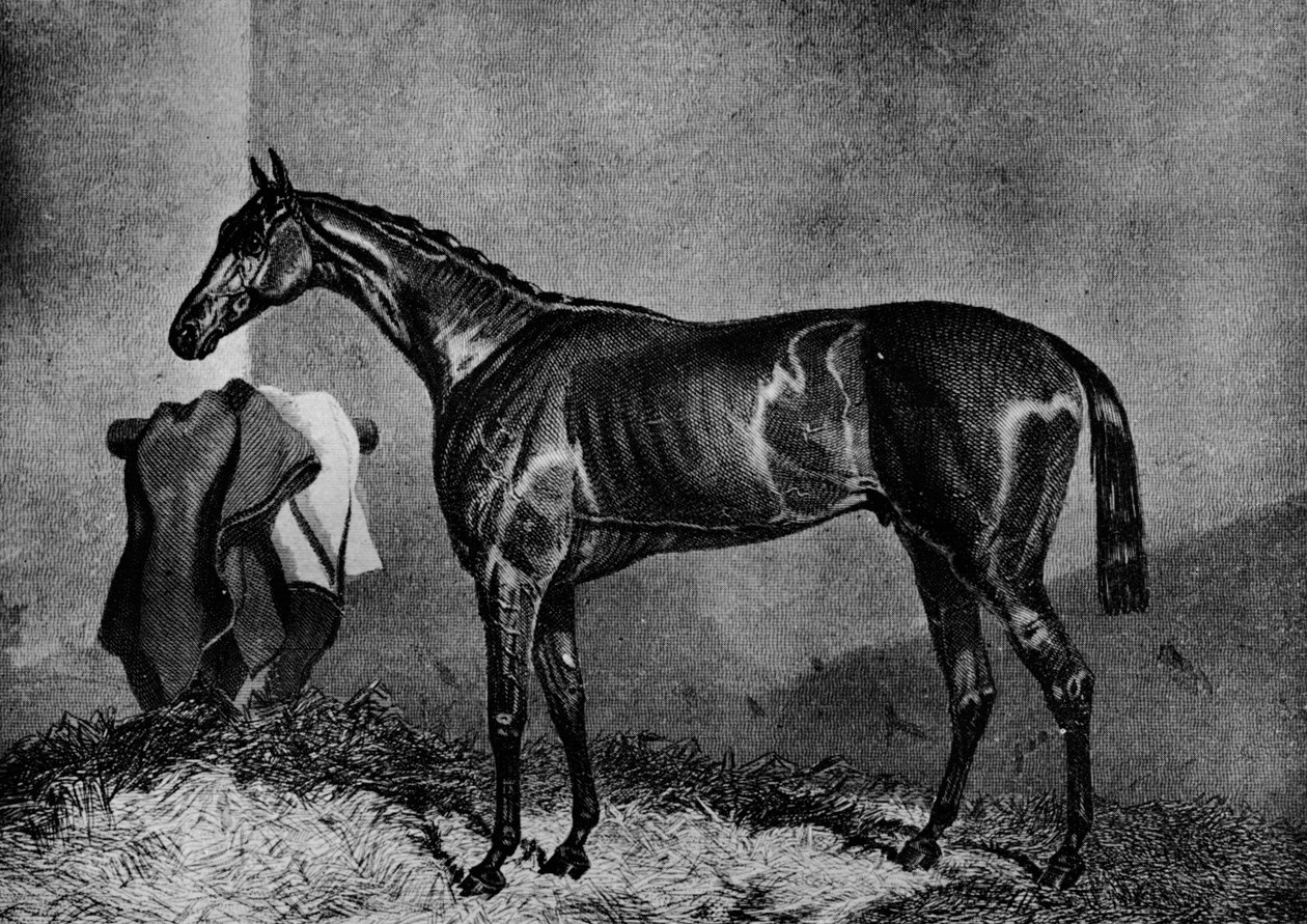 Vahşi Dayrell, 1852-1870, 1911 by Unbekannt