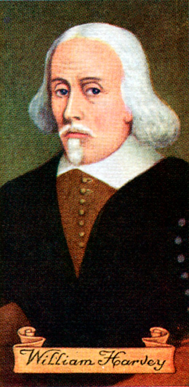William Harvey, bir dizi sigara kartından alındı, 1935 by Unbekannt
