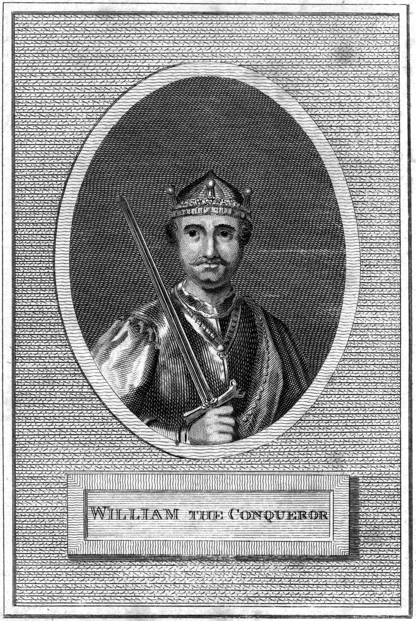 Fatih William by Unbekannt