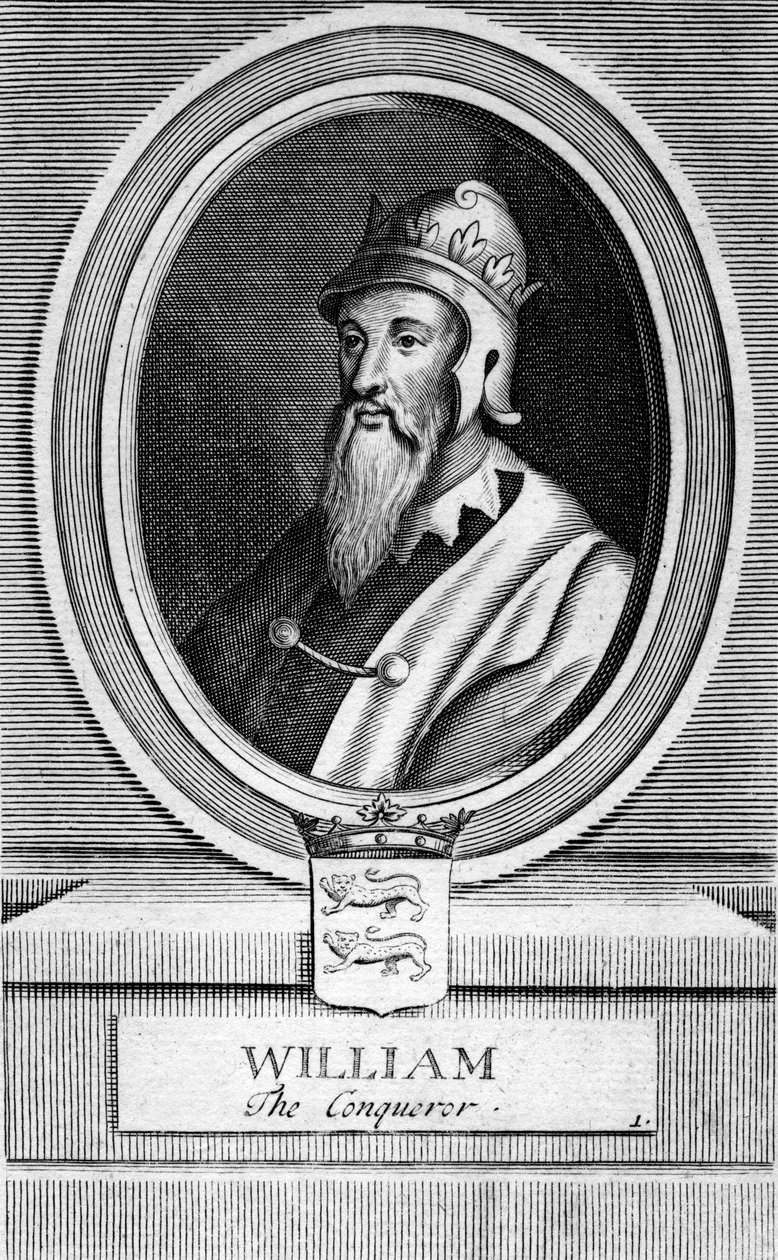 Fatih William by Unbekannt