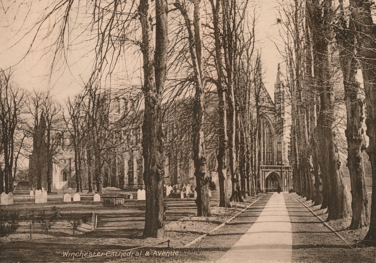 Winchester Katedrali ve Bulvarı, Hampshire, 20. yüzyılın başlarında. by Unbekannt