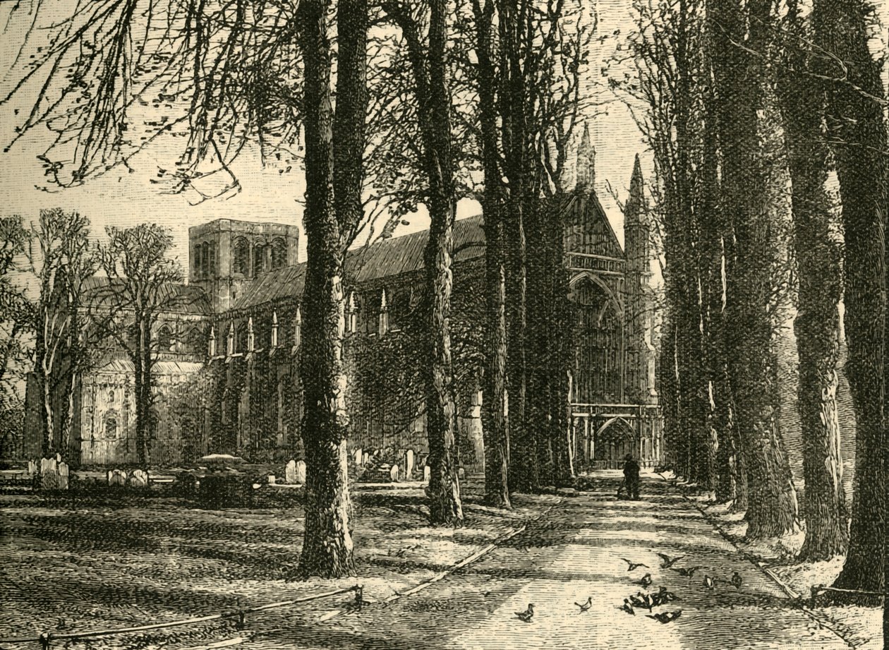 Winchester Katedrali, Kuzey-Batı, 1898. by Unbekannt