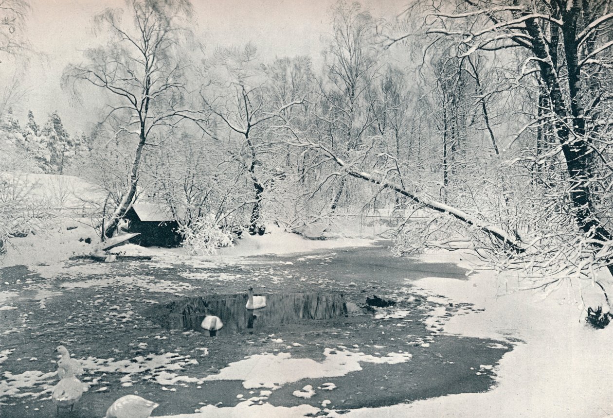 Skansen