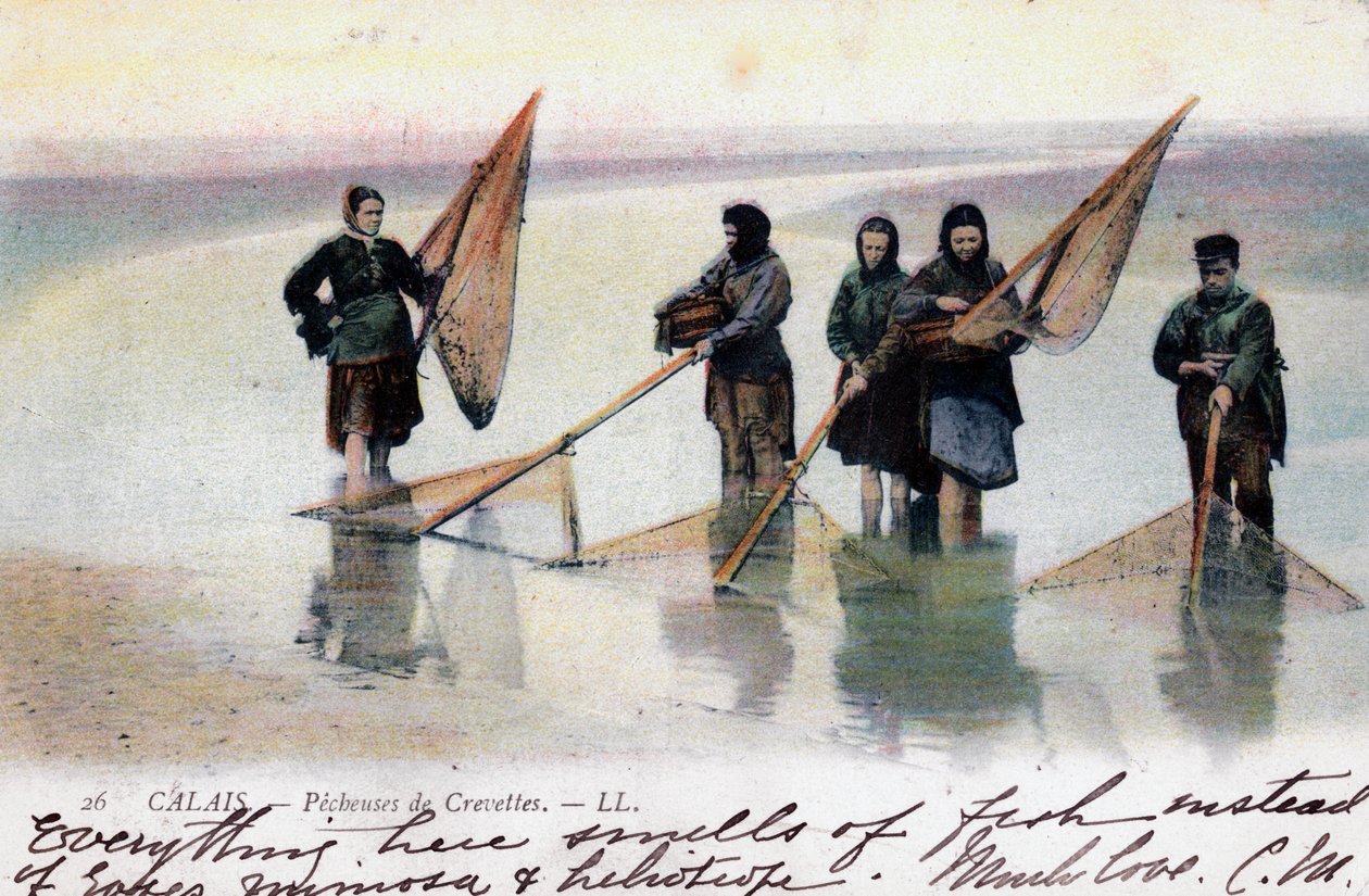 Kadın karides balıkçıları, Calais, 1905 by Unbekannt