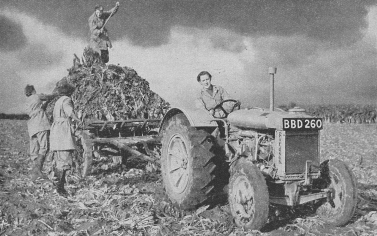 Kadın Kara Ordusu ekin kaldırıyor, İkinci Dünya Savaşı, 1940 by Unbekannt