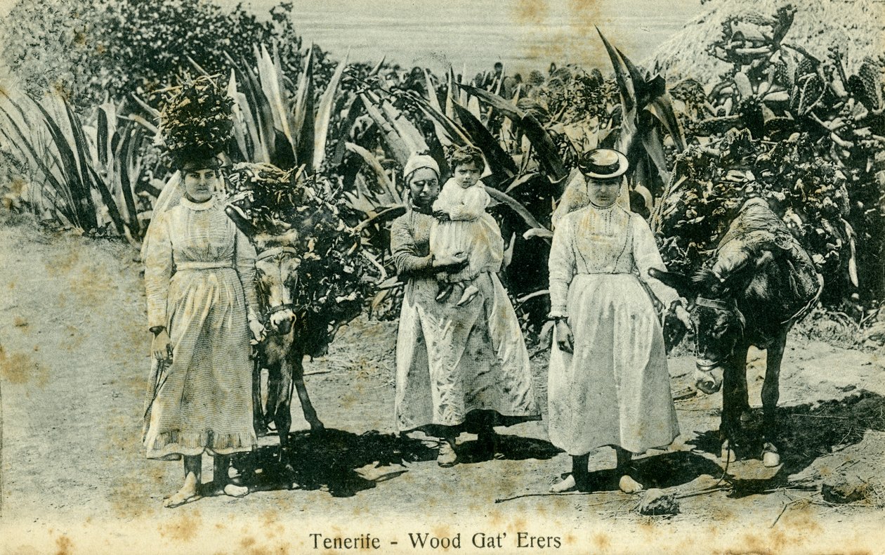 Tahta toplayıcılar, Tenerife, Kanarya Adaları, 20. yüzyılın başları by Unbekannt