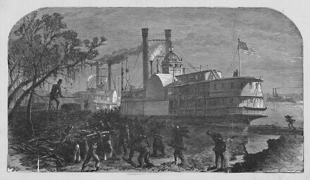 Ağaçlandırma, 1883 by Unbekannt
