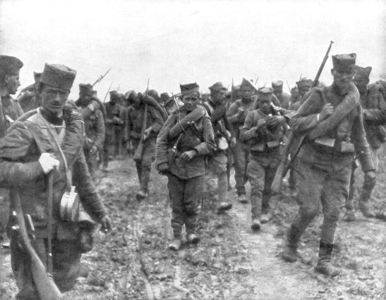 Genç Sırp askerler, 1914 by Unbekannt