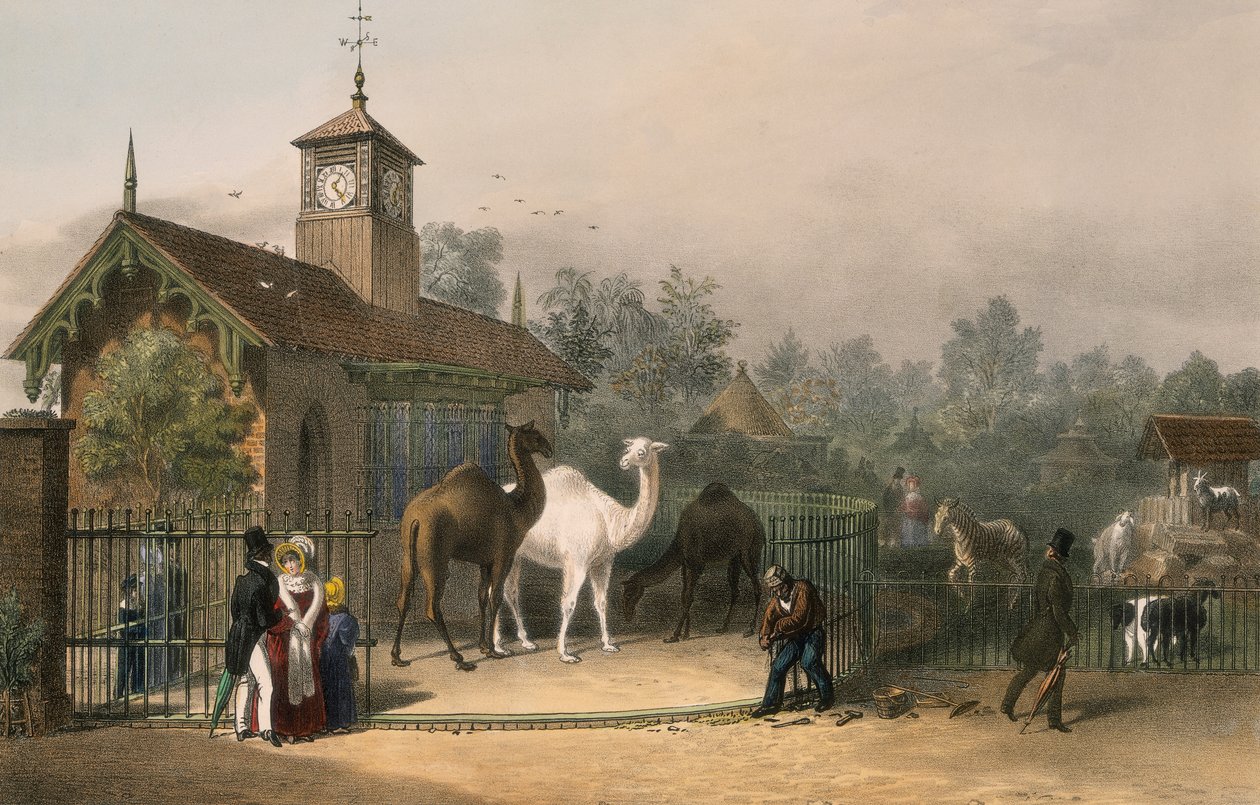 Hayvanat Bahçeleri, Regent