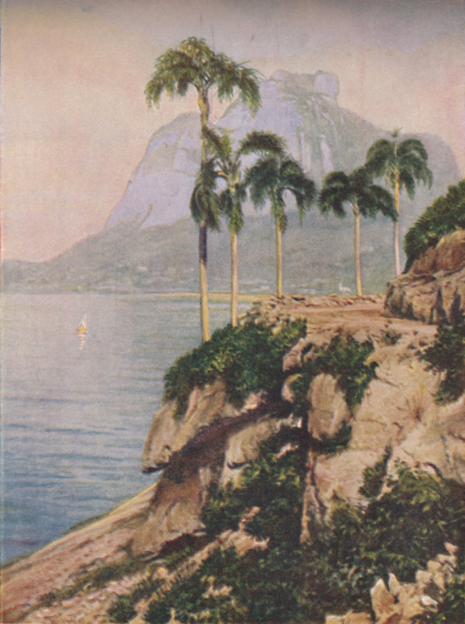 Gavea tepesi - Rio De Janeiro