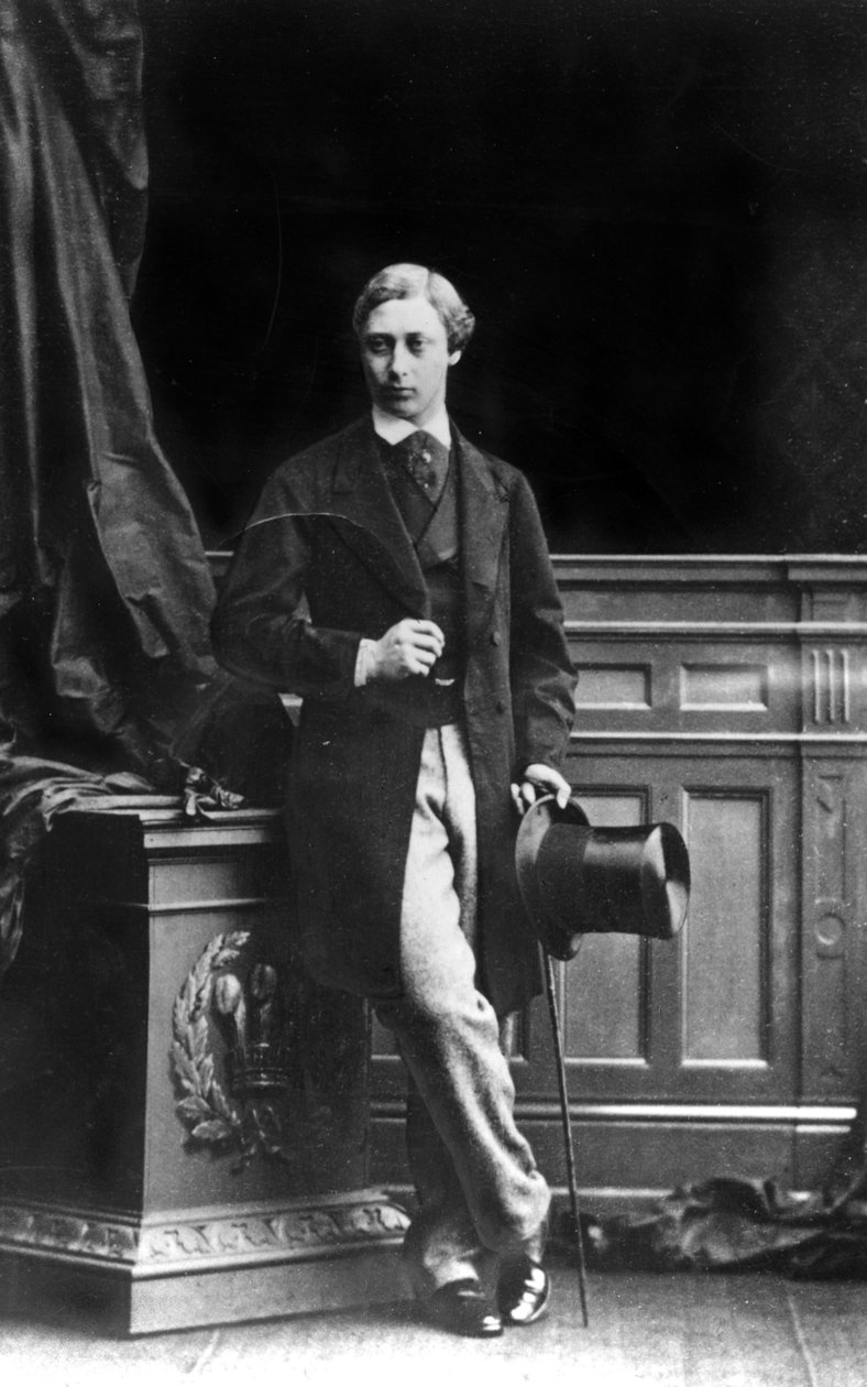 Albert Edward, Galler Prensi, 1861 (bw fotoğraf) by Unbekannt Unbekannt