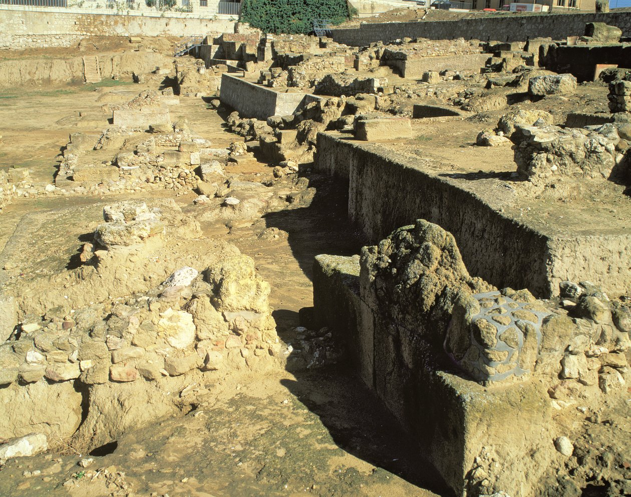 Yunan kolonisinin arkeolojik kalıntıları, MÖ 6.-5. yy by Unbekannt Unbekannt
