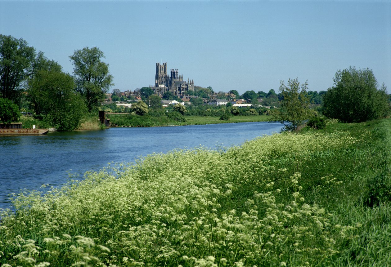 Ely Katedrali ve Ouse Nehri by Unbekannt Unbekannt