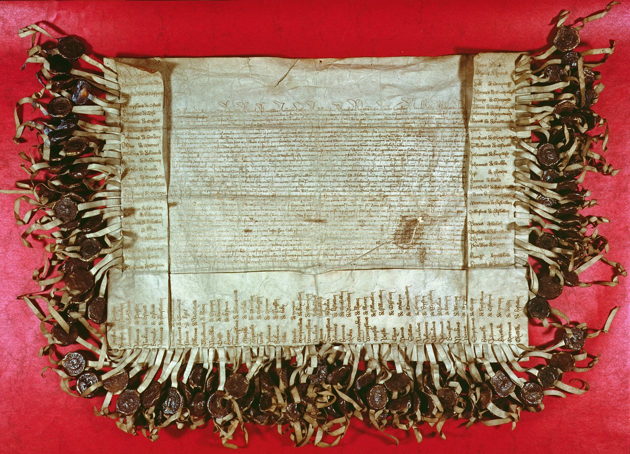 Bohem soylularının Constance Konseyi