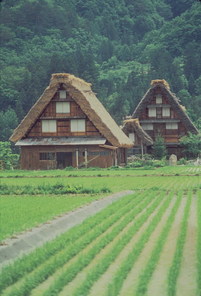 Shirakawa Village, Giju, Japan by Unbekannt Unbekannt