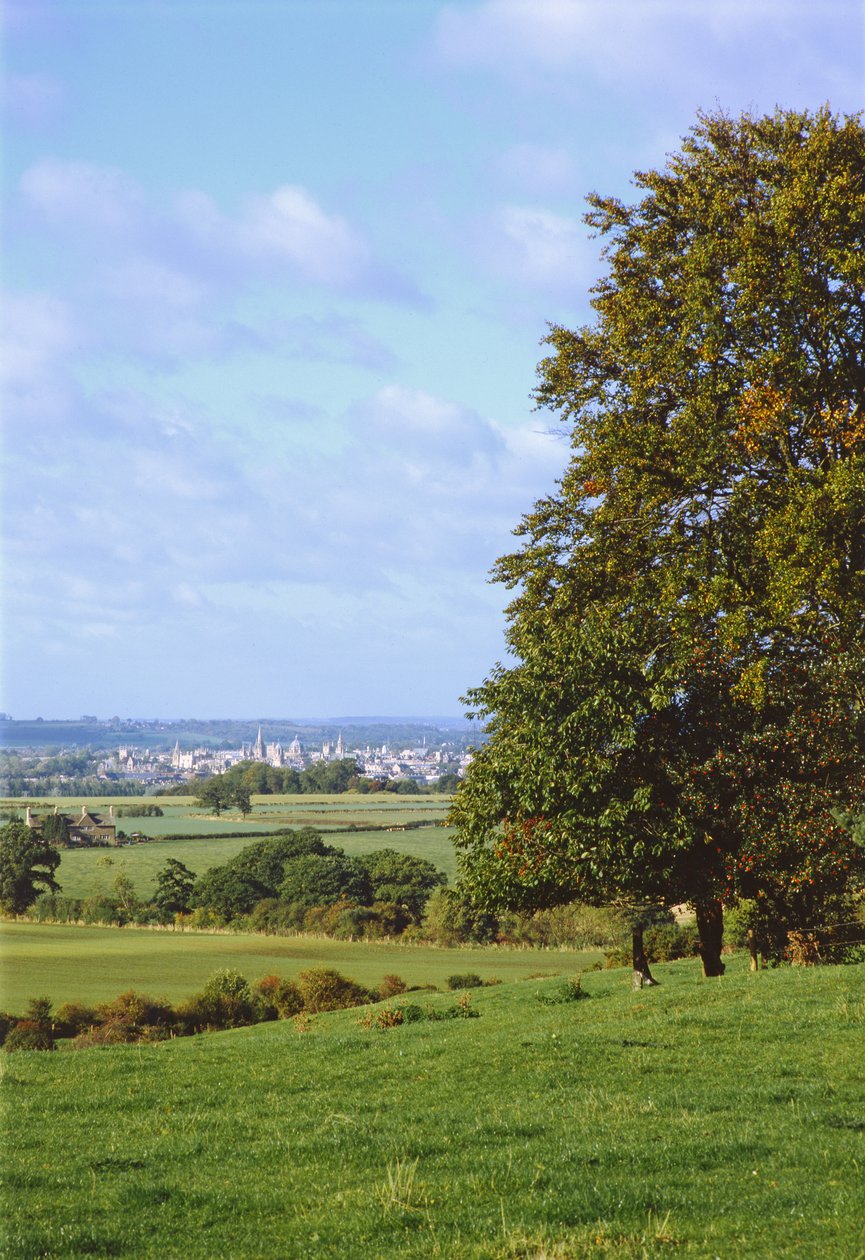 Boars Hill