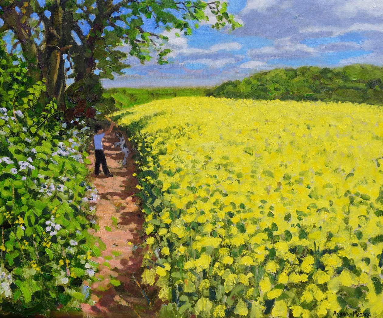 Çocuk ve köpeği, Radbourne,Derby.2014 by Unbekannt Unbekannt
