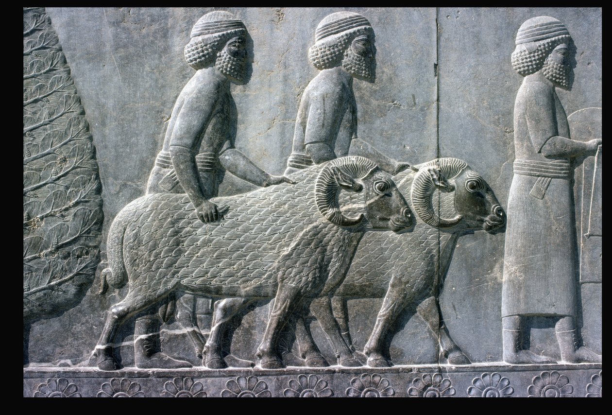 Apadana