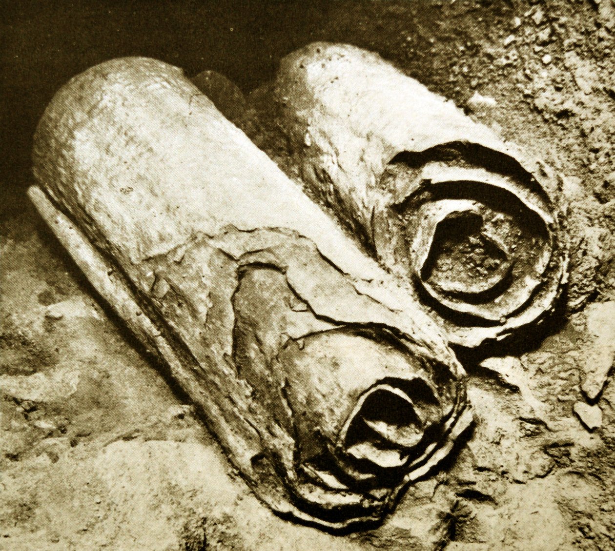 Ölü Deniz Parşömenlerinin Kazısı, 1950 by Unbekannt Unbekannt