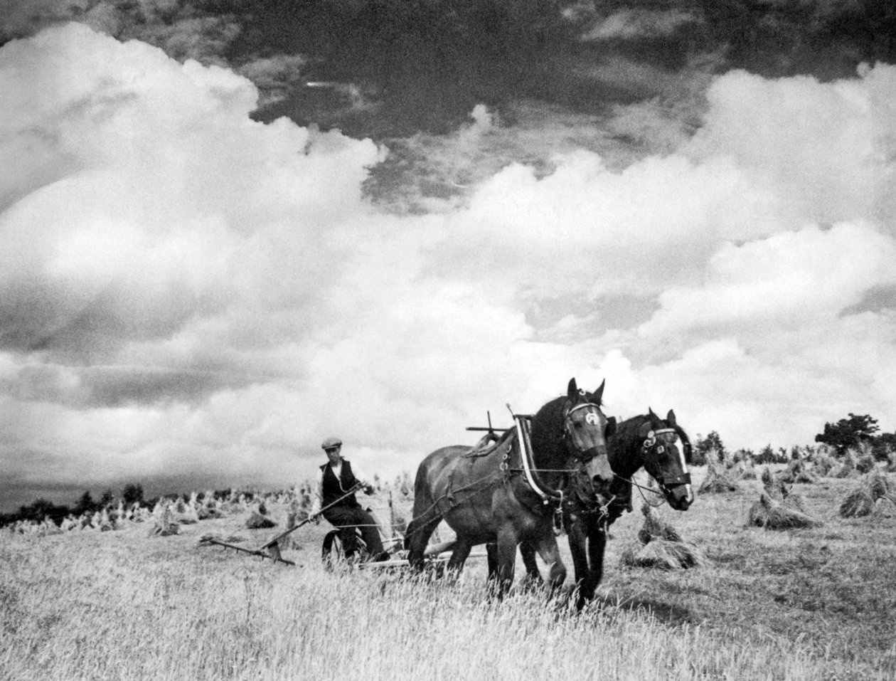 İrlanda Çavdar Otu Hasadı, 1940 by Unbekannt Unbekannt