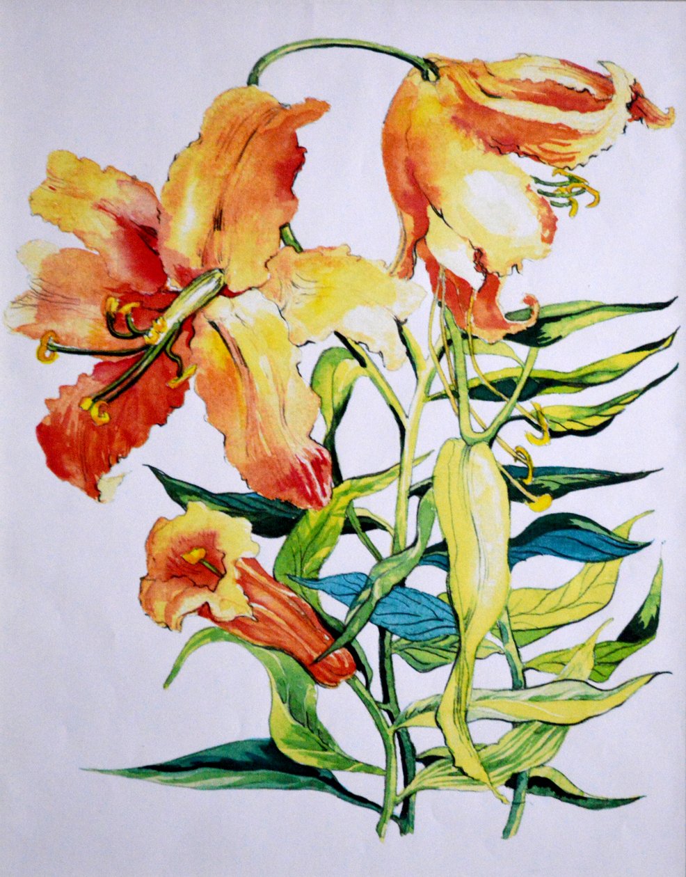 Turuncu Zambaklar 1,1985 by Unbekannt Unbekannt