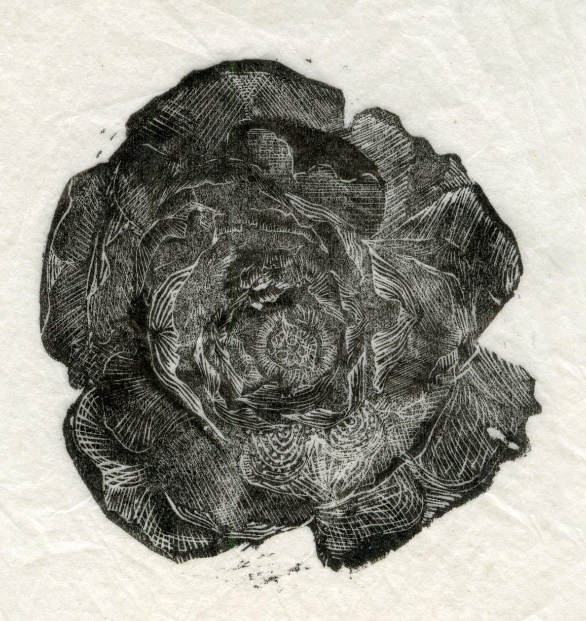 Çam Gülü, 2014, by Unbekannt Unbekannt