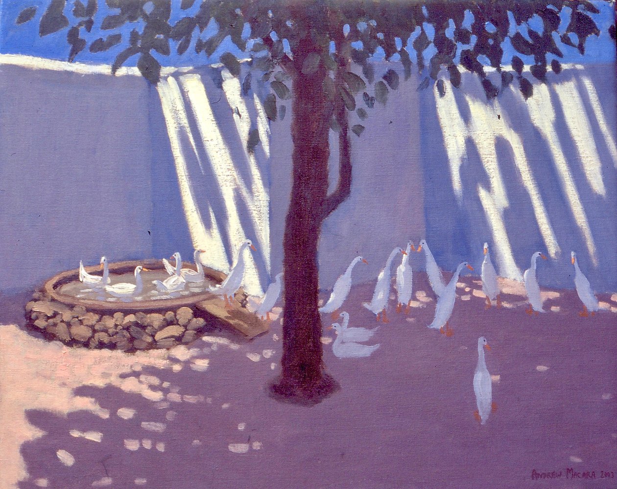 Runner Ducks, Güney Afrika, 2011 by Unbekannt Unbekannt
