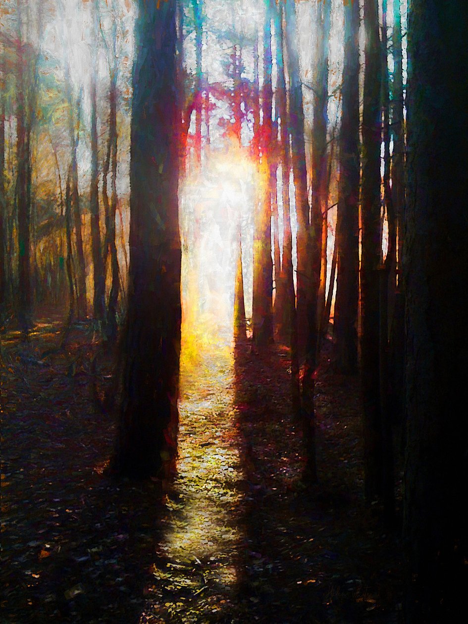 Geliş, 2019, by Unbekannt Unbekannt