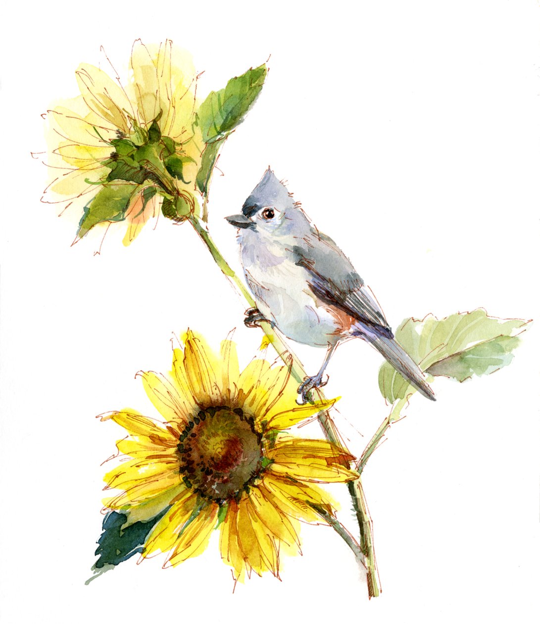 Ayçiçeği ile baştankara, 2016, by Unbekannt Unbekannt