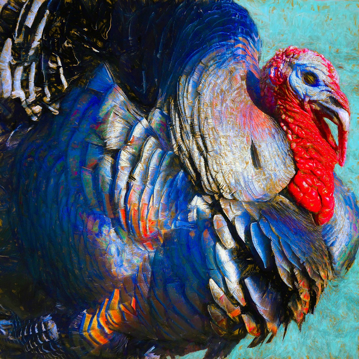 Türkiye Lurky, 2018, by Unbekannt Unbekannt