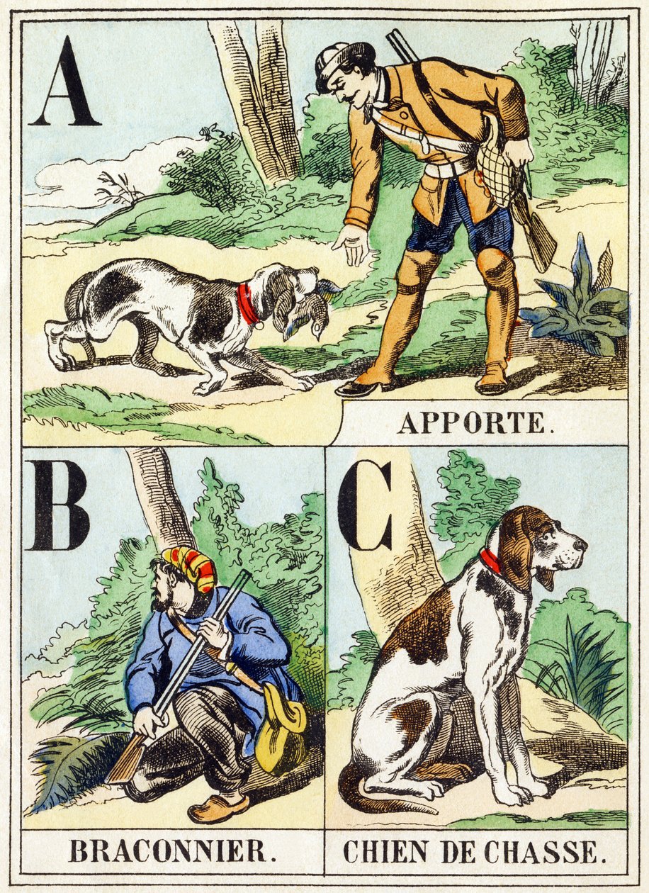 A B C: Getir, Kaçak Avcı, Av Köpeği - Av Alfabesi, c.1890 (gravür) by Unbekannt