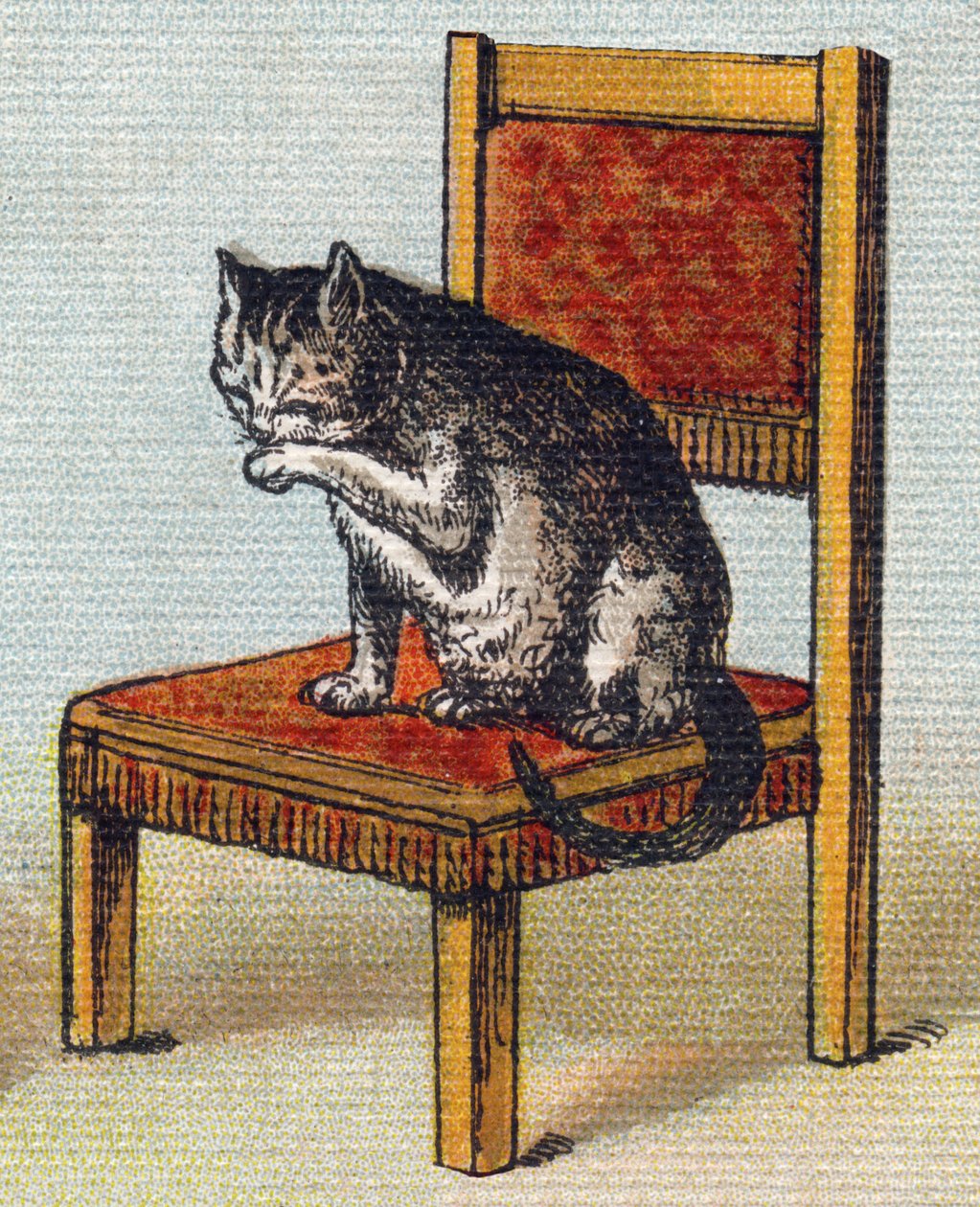 Sandalyede bir kedi. "Alphabet de ma petite fille" gravürü. Bernardin-Bechet ve Fils, kitapçı-yayıncılar, Paris, 1895 civarı. Tuval üzerine kırılmaz albüm. Bibliotheque des Bebes. 12 sayfa. Bir okuma yöntemi ve açıklayıcı bir abeceda içeren albüm by Unbekannt