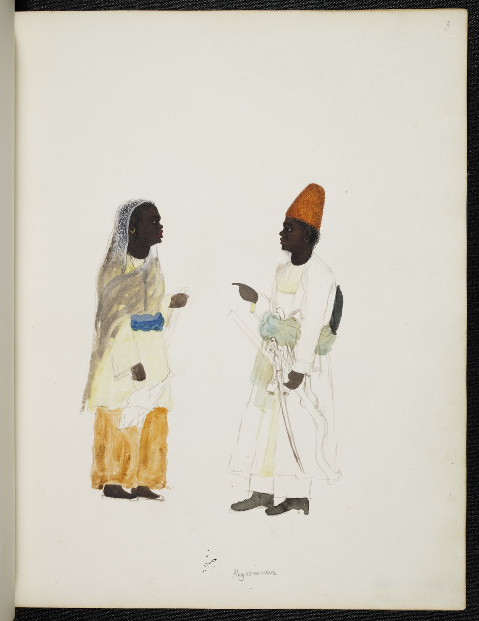 Ekle Veya 1349 Habeşliler, Şirket Tarzı Albüm (kağıt üzerine suluboya) by Unbekannter Künstler