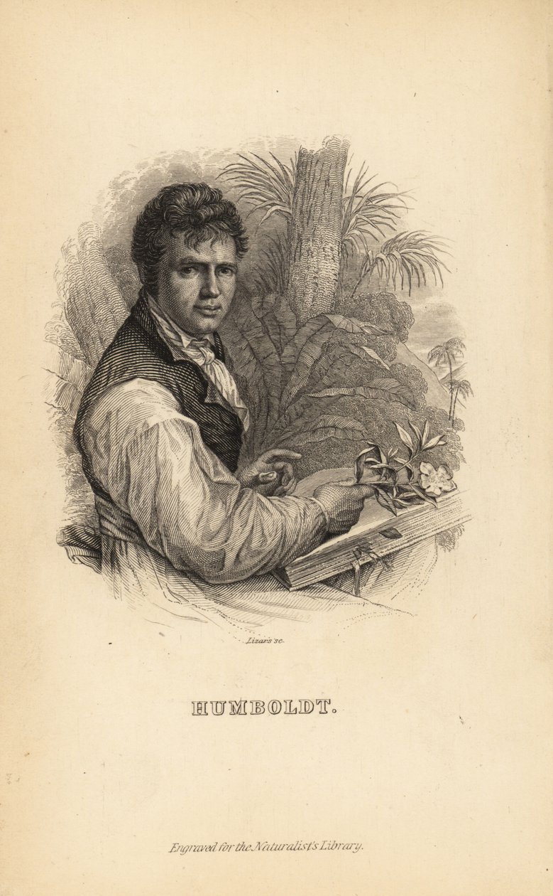 Alexander von Humboldt, Alman kaşif, doğa bilimci ve botanikçi by Unbekannt