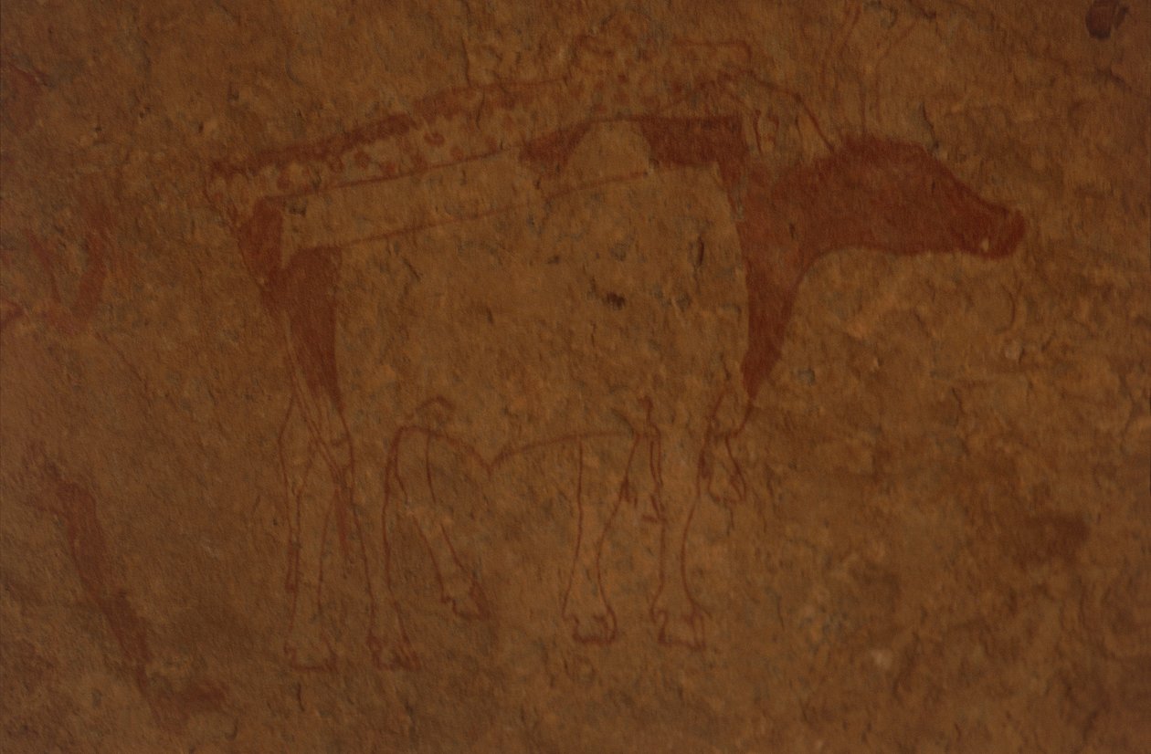 Cezayir, Sahra Çölü, Tassili-n-Ajjer Ulusal Parkı, Sefar bölgesi, boğayı tasvir eden kaya resmi. by William M. Timlin