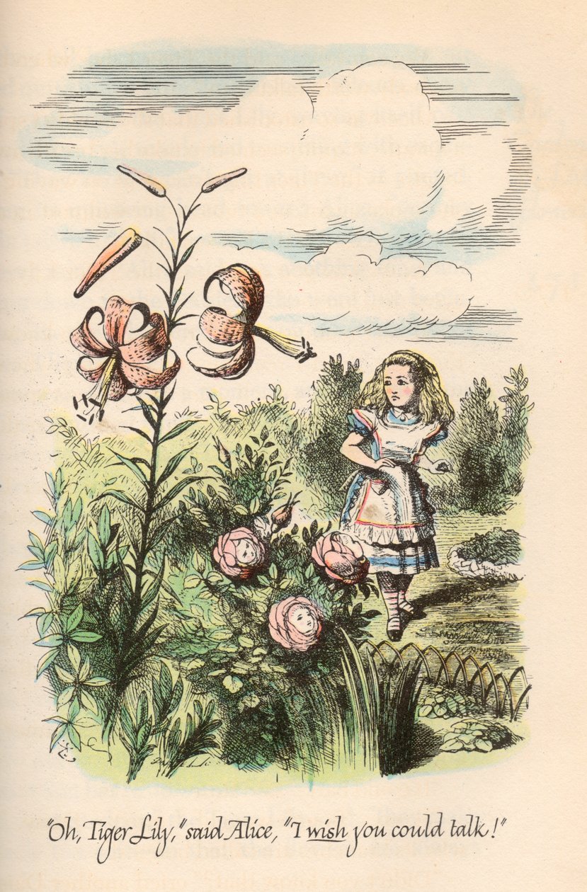 Alice Harikalar Diyarında ve Aynanın İçinden, Lewis Carroll, Resimleyen John Tenniel by Unbekannt